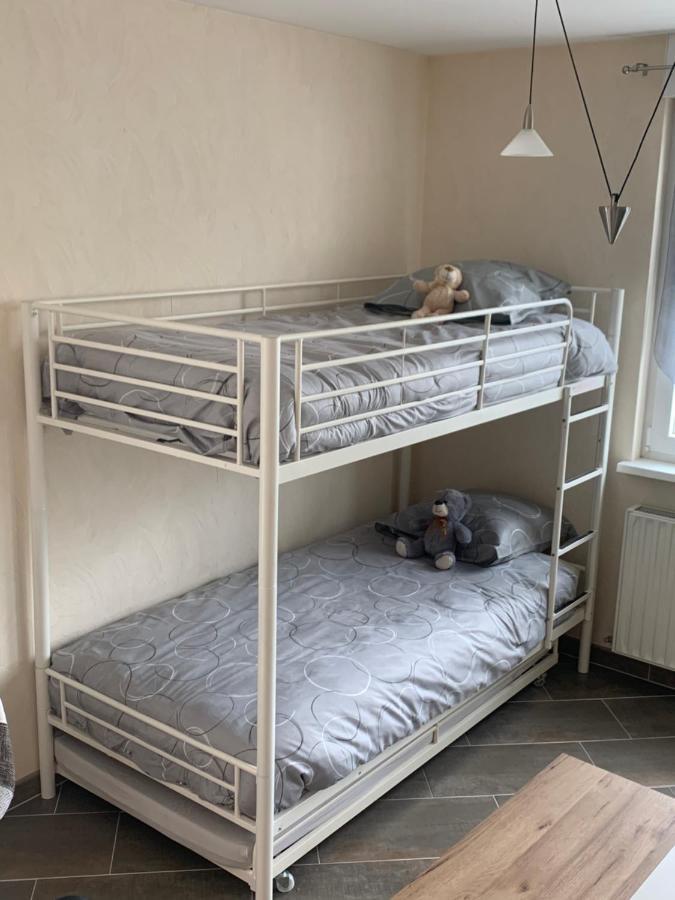 Le meublé de naya Appartamento Saulcy-sur-Meurthe Esterno foto