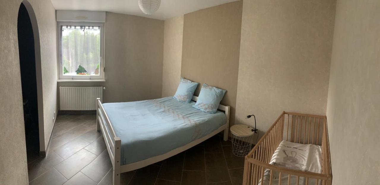 Le meublé de naya Appartamento Saulcy-sur-Meurthe Esterno foto