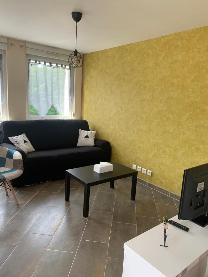 Le meublé de naya Appartamento Saulcy-sur-Meurthe Esterno foto